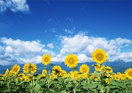 用責(zé)任點(diǎn)燃青春，以擔(dān)當(dāng)成就事業(yè)