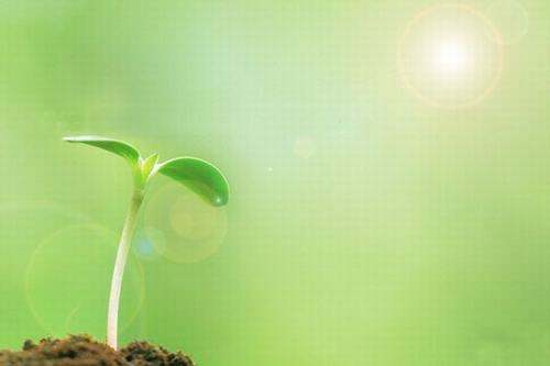 歲生之初，且聽我說