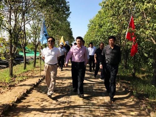 陜西省總工會黨組書記、主席白阿瑩一行蒞臨鄠邑區(qū)調(diào)研考察草堂寺健康養(yǎng)老示范項目