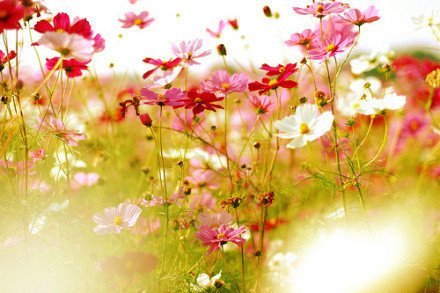 生活是一首詩(shī)