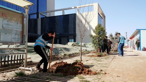 陜煤建設(shè)澄合分公司基層單位開展“植樹護綠，美麗家園”義務(wù)植樹活動