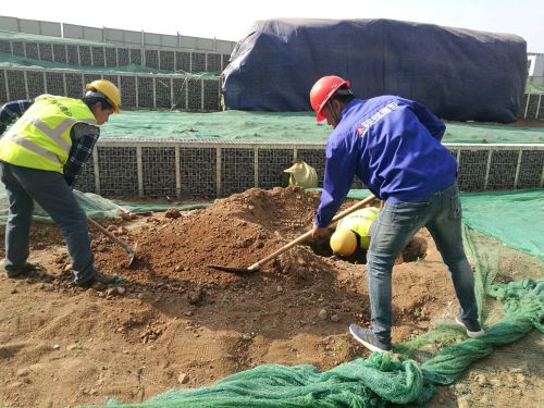 陜煤建設綠宇園林公司:激活“神經(jīng)末梢”  打響“五小”創(chuàng)新戰(zhàn)