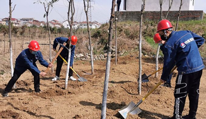 今天你植樹了嗎？