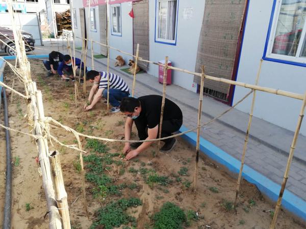 陜煤建設(shè)韓城分公司土建十項目部弘揚“五四”精神播種希望之田