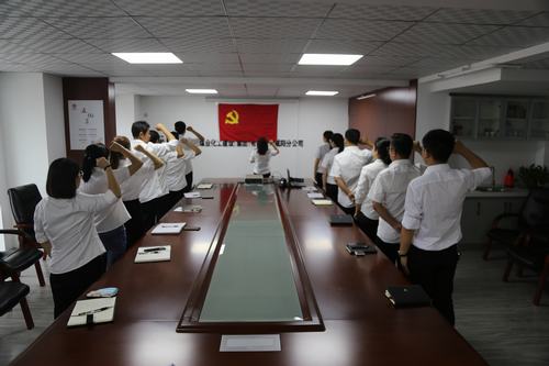 咸陽(yáng)分公司積極開展“慶七一”主題黨日活動(dòng)