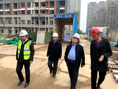 王寧深入藍(lán)山水岸項目檢查指導(dǎo)工作