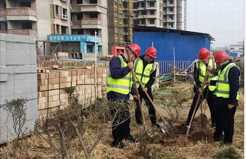 陜煤建設(shè)咸陽分公司第五項目部植樹活動如火如荼進行中