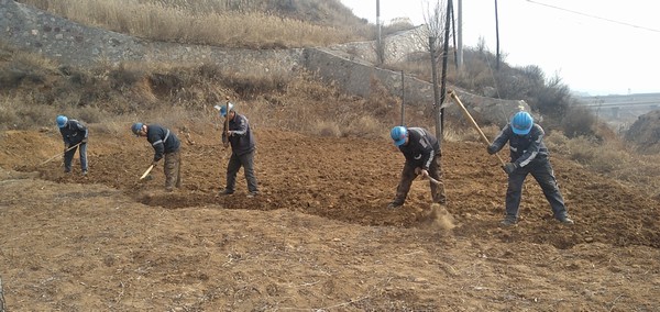 陜煤建設(shè)洗選煤運(yùn)營公司左權(quán)洗煤廠項(xiàng)目部：春耕“小菜園”，播種幸福感