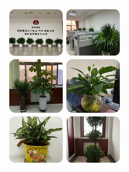 陜煤建設(shè)煤礦運(yùn)營(yíng)服務(wù)公司：職工之事無小事