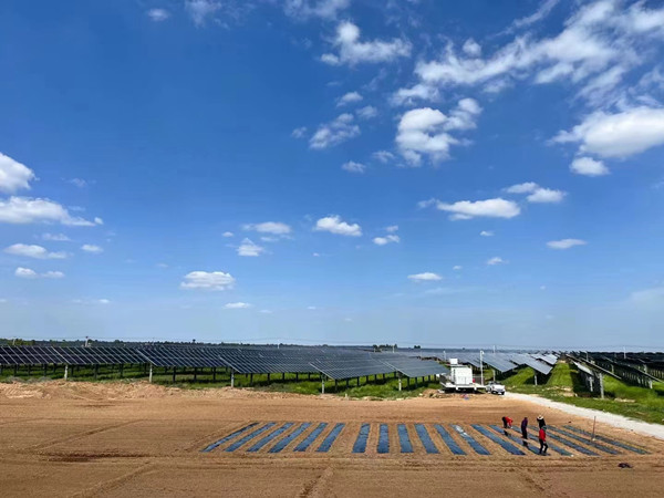 陜煤建設(shè)機(jī)電安裝公司蒲白光伏發(fā)電項(xiàng)目順利通過商業(yè)運(yùn)營前監(jiān)督檢查