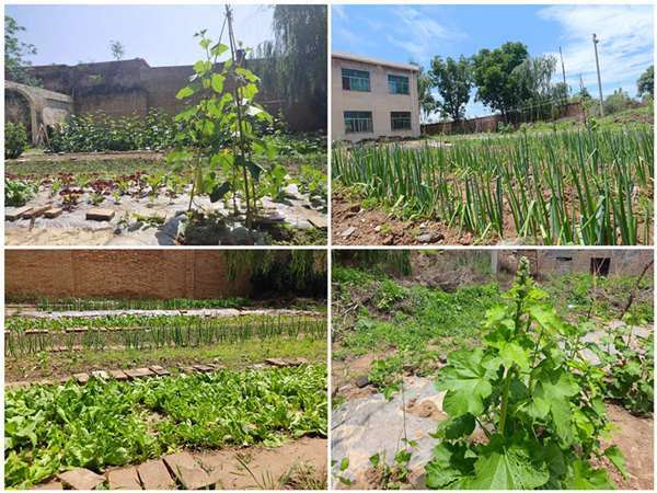 陜煤建設(shè)礦建三公司：項(xiàng)目部里的“開心農(nóng)場”