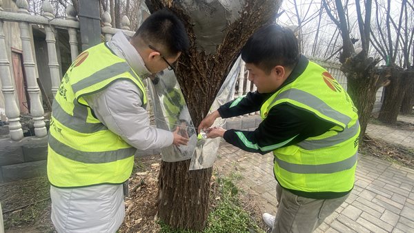 陜煤建設(shè)路橋分公司渭南項目部開展“綠色修復(fù)，生態(tài)共贏”別樣植樹節(jié)活動