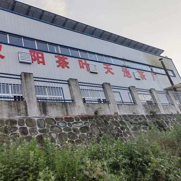 實(shí)事一件接著一件，跑出鄉(xiāng)村振興“加速度”