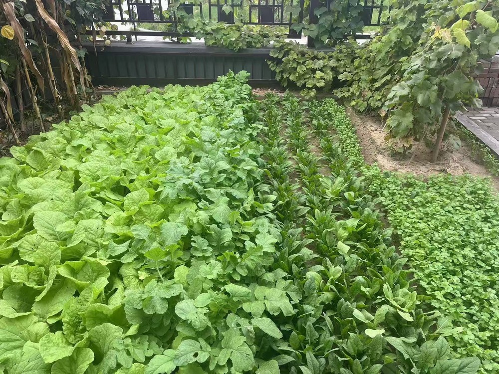 工地之上，家的溫度悄然綻放