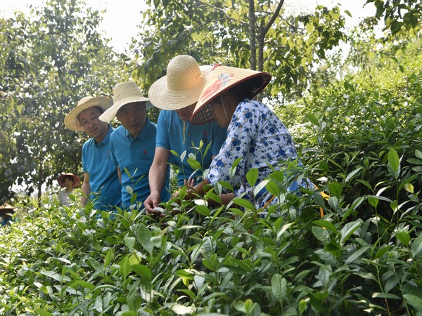 陜煤建設(shè)煤礦運(yùn)營(yíng)服務(wù)分公司：全方位提升職工幸福指數(shù)