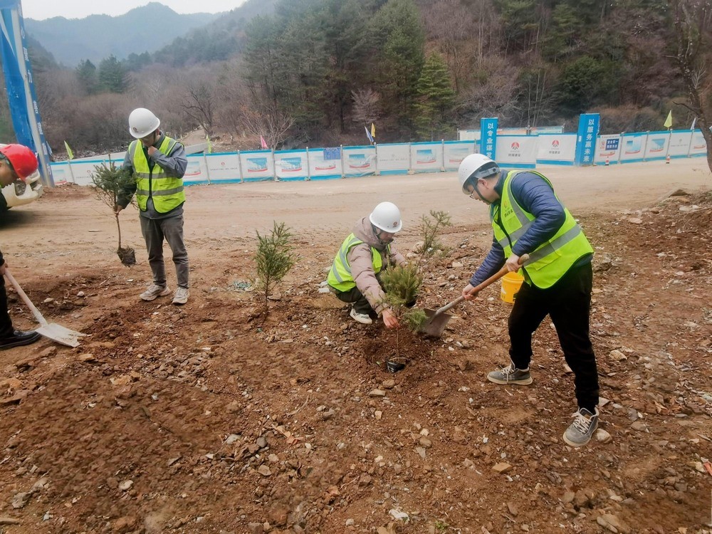 “植”此青綠，陜煤建設路橋分公司春風十里添新林