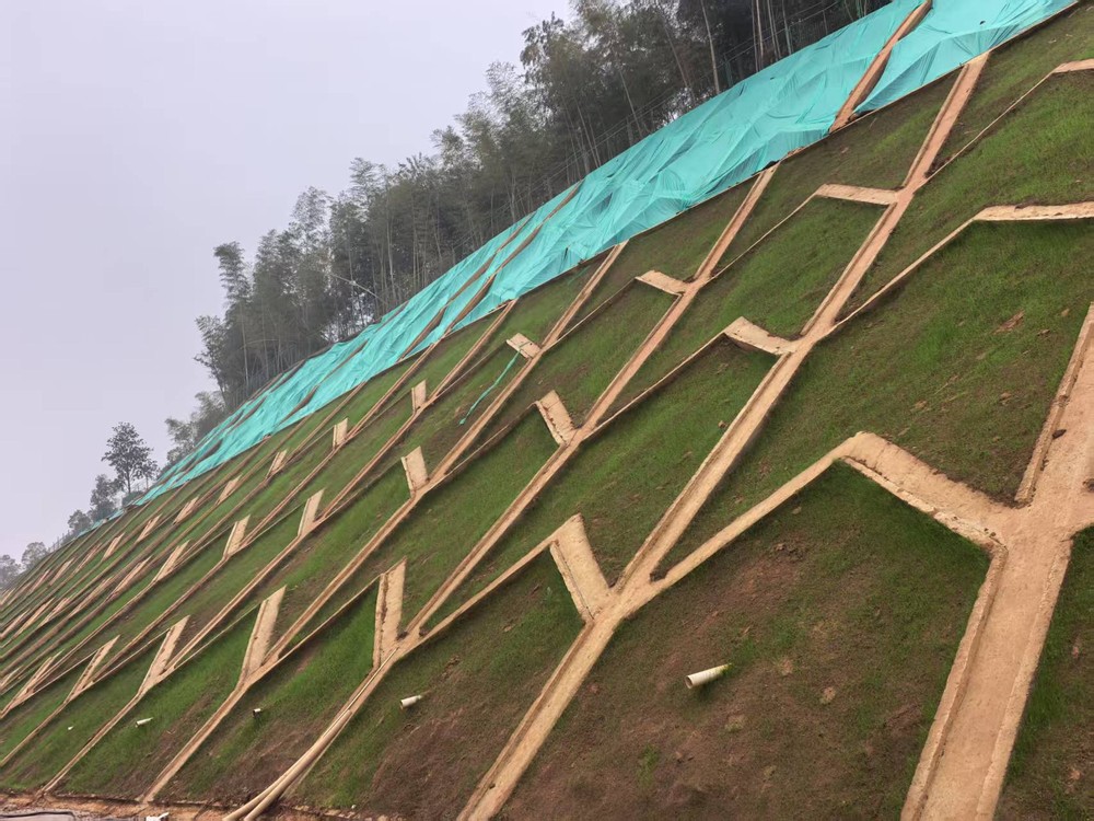 陜煤建設(shè)西北分公司：邊坡披綠衣，防護(hù)顯匠心