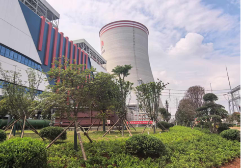 陜煤建設(shè)西北分公司：綠意盎然入電廠，生態(tài)建設(shè)譜新章