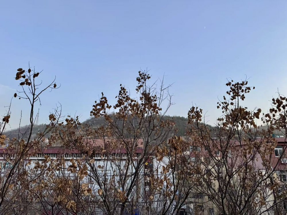 秋意漸濃時(shí)，回望來時(shí)路